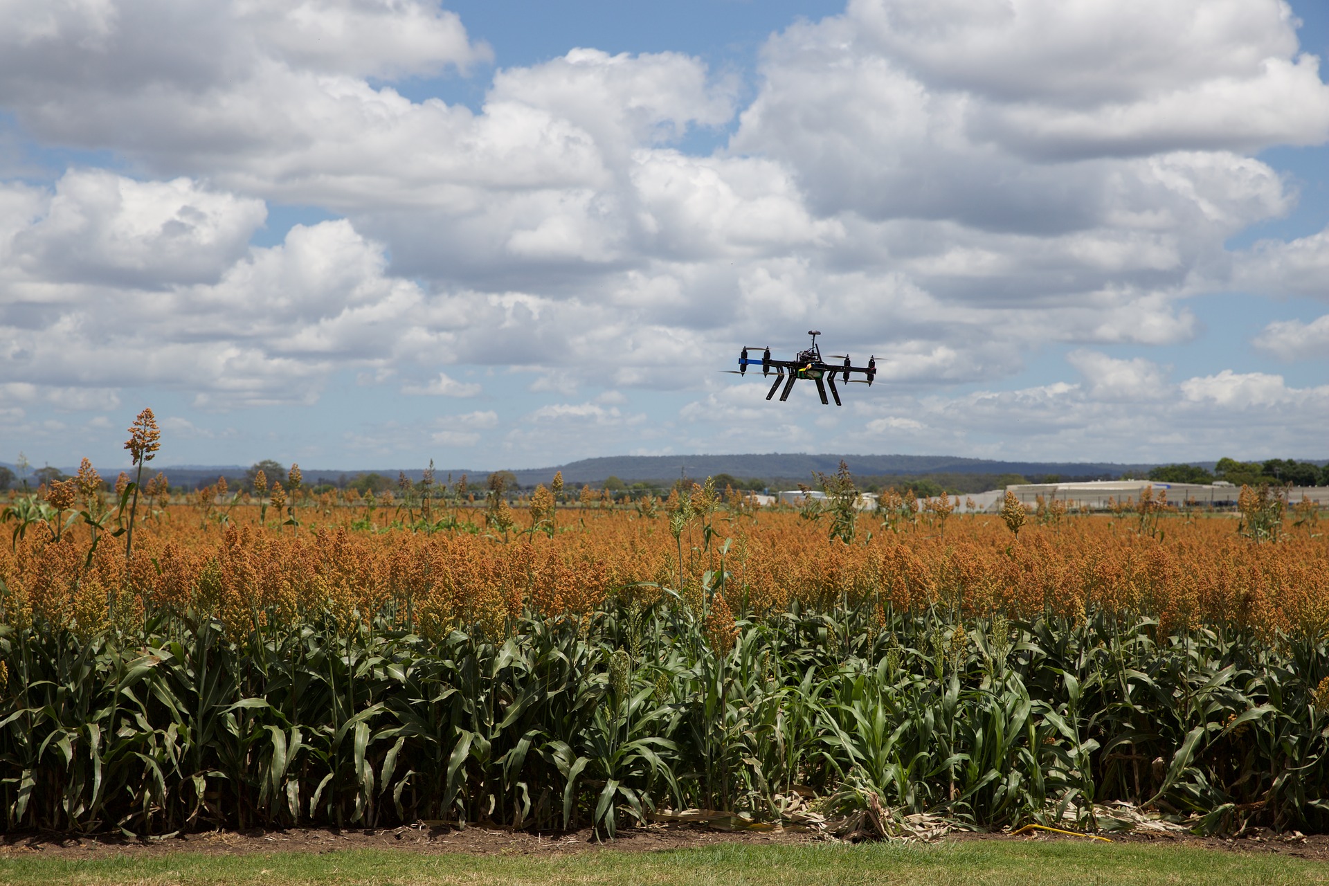 https://mail2.horasis.org/wp-content/uploads/2021/05/agriculture-3182252_1920.jpg