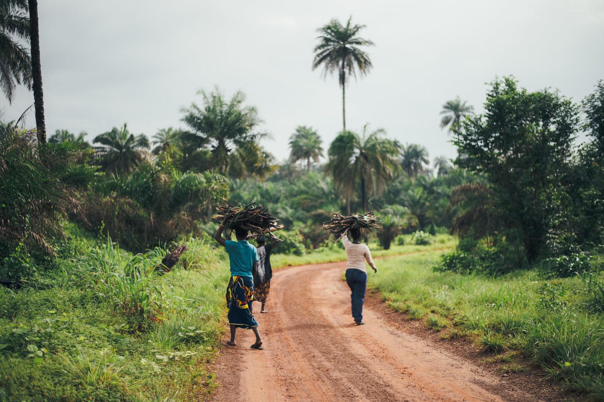 https://mail2.horasis.org/wp-content/uploads/annie-spratt-wtk4VH8EU20-unsplash-1.jpg